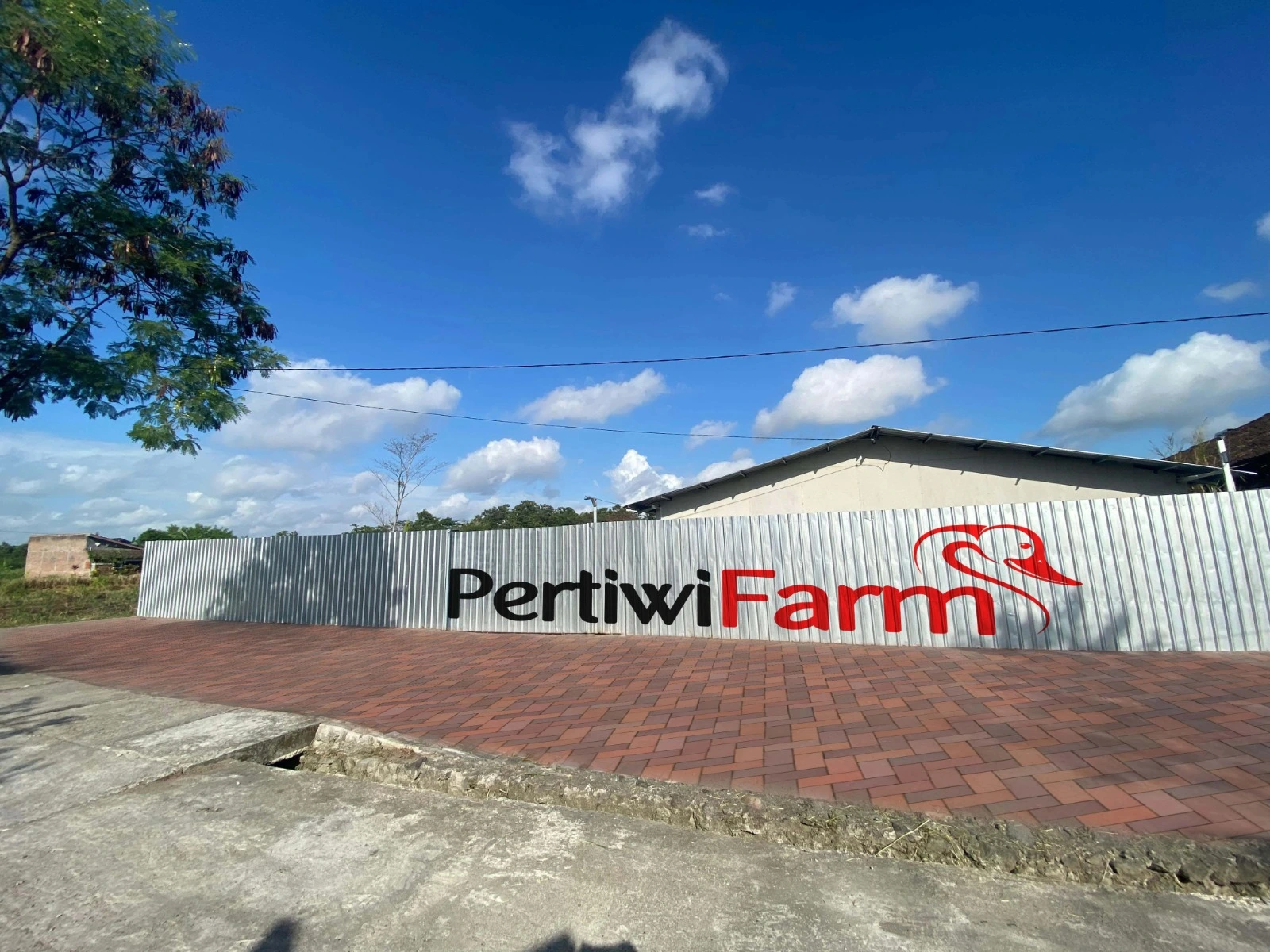 Pertiwi Farm - Grosir Telur Bebek Jogja